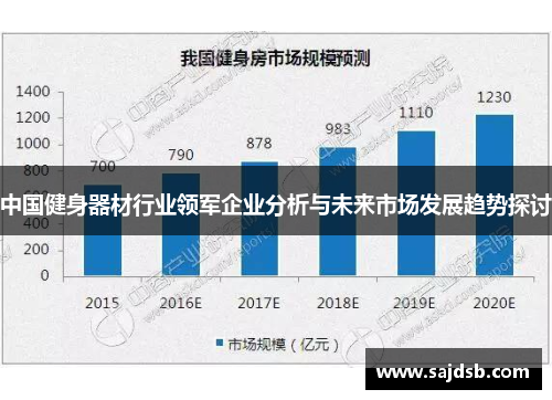 中国健身器材行业领军企业分析与未来市场发展趋势探讨