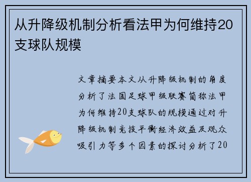 从升降级机制分析看法甲为何维持20支球队规模