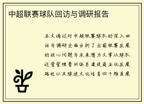 中超联赛球队回访与调研报告