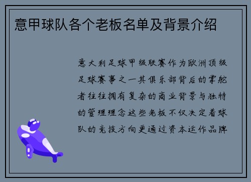 意甲球队各个老板名单及背景介绍