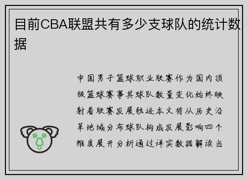 目前CBA联盟共有多少支球队的统计数据
